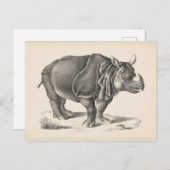 Carte Postale Croquis Brodtmann Rhinoceros (Devant / Derrière)