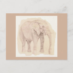 Carte Postale Croquis d'art d'éléphant