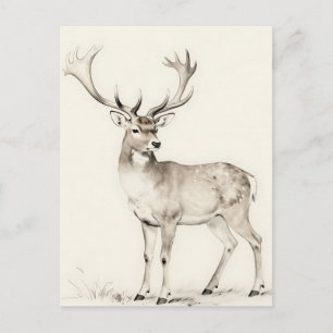 Carte Postale Croquis de cerf majestueux à cornes
