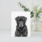 Carte Postale Croquis de chiot Labrador noir mignon (Debout devant)