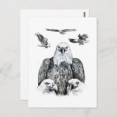 Carte Postale Croquis de dessin au crayon de collage de l'aigle  (Devant / Derrière)