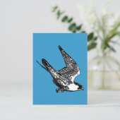 Carte Postale Croquis de faucon pèlerin (Debout devant)