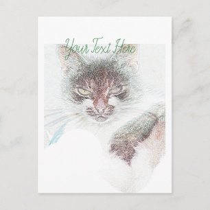 Carte Postale Croquis de la face de cate en colère