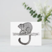 Carte Postale Croquis de Night singe (Aotus spec.) par Nicole Ja (Debout devant)
