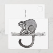 Carte Postale Croquis de Night singe (Aotus spec.) par Nicole Ja (Devant / Derrière)