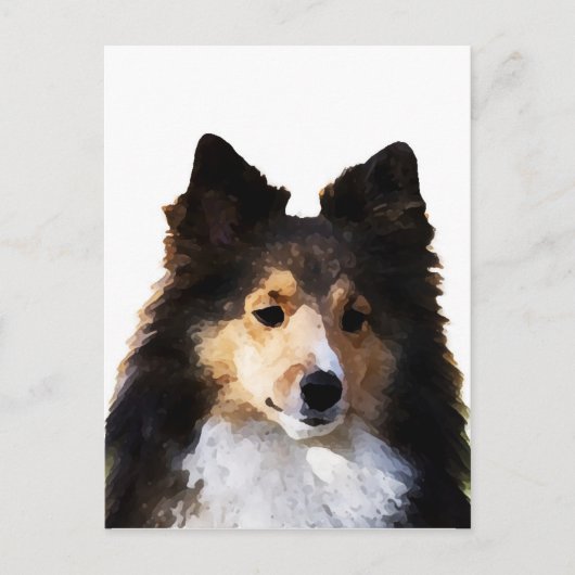 Carte Postale Croquis de peinture Sheltie Dog (Devant)
