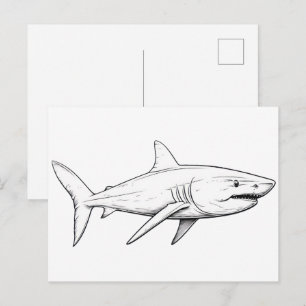 Carte Postale Croquis de requin
