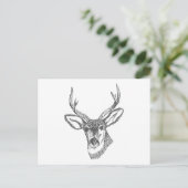 Carte Postale Croquis de tête de cerf (Debout devant)