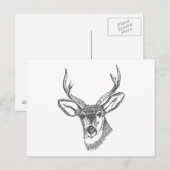 Carte Postale Croquis de tête de cerf (Devant / Derrière)