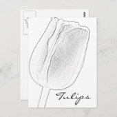 Carte Postale Croquis de tulipe (Devant / Derrière)