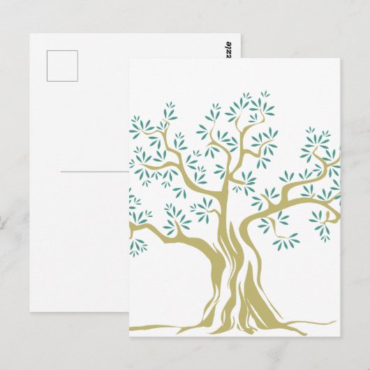 Carte Postale Croquis d'olivier (Devant / Derrière)