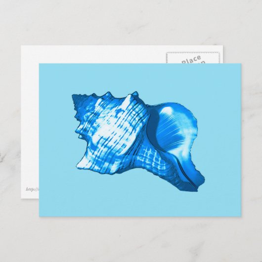 Carte Postale Croquis en coquille de conque - cobalt et bleu cie (Devant / Derrière)