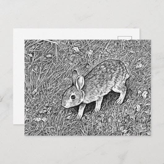 Carte Postale Croquis mignon au crayon lapin (Devant / Derrière)
