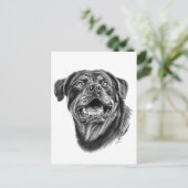 Carte Postale Croquis Rottweiler (Debout devant)