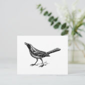 Carte Postale Croquis Vintage Gracker Bird (Debout devant)