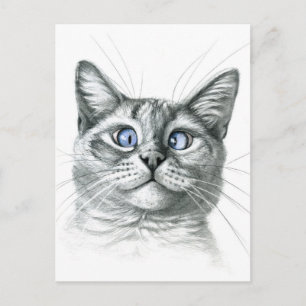 Carte Postale Cross Eyed cat G122