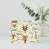 Carte Postale Crostères Adolphe Millot (Debout devant)