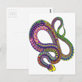 Carte Postale Crotale d'Arizona (Devant / Derrière)