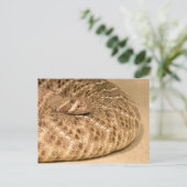 Carte Postale crotale de diamant occidental (Debout devant)