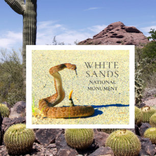 Carte Postale Crotale Diamanté Debout White Sands