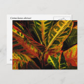 Carte Postale Croton Feuilles Abstraits (Devant / Derrière)