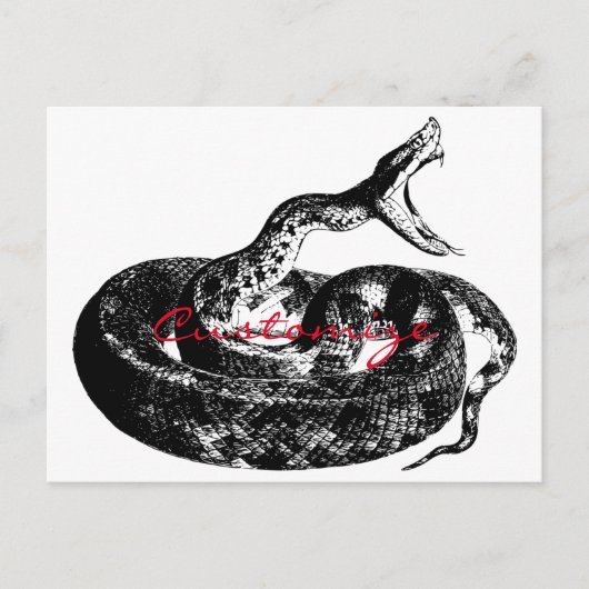 Carte Postale Crotte serrée Thunder_Cove (Devant)