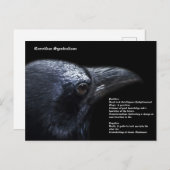 Carte postale Crow (Devant / Derrière)