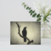 Carte postale Crow (Debout devant)