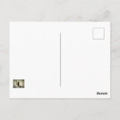 Carte postale Crow (Dos)