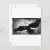 Carte Postale Crow deluxe (Devant / Derrière)