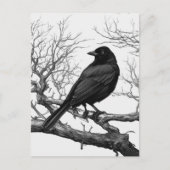 Carte Postale Crow Perched on Bare Winter Branches (Devant)