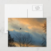 Carte Postale Crow sur un ciel pastel (Devant / Derrière)