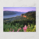 Carte Postale Crown Point, Columbia River Gorge, Oregon (Devant)