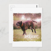 Carte Postale Croyez en votre chien (Devant / Derrière)