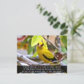 Carte Postale Croyez en vous, Oiseau Jaune Perché sur une Branch (Debout devant)