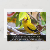 Carte Postale Croyez en vous, Oiseau Jaune Perché sur une Branch (Devant / Derrière)