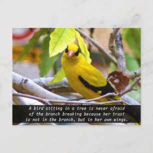 Carte Postale Croyez en vous, Oiseau Jaune Perché sur une Branch