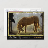 Carte postale Cruella (Devant / Derrière)