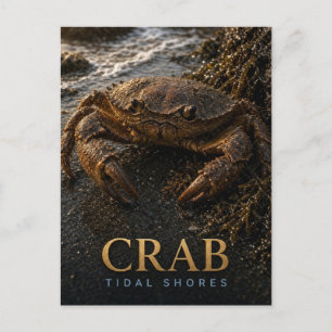 Carte Postale Crustacé Rivages de la marée Faune ANIMAL