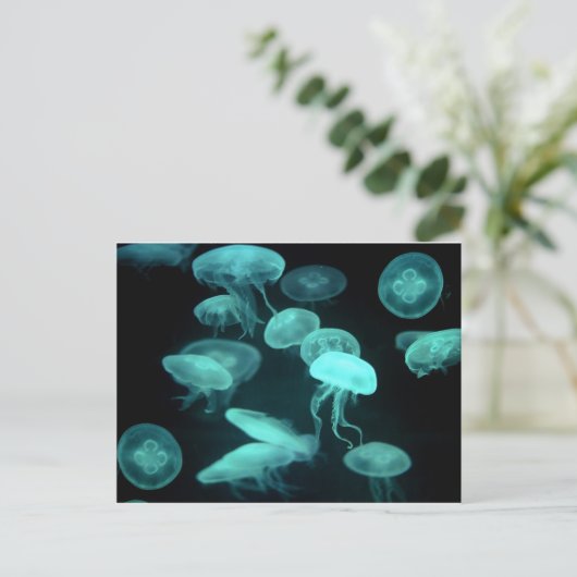 Carte Postale crustacés (Debout devant)