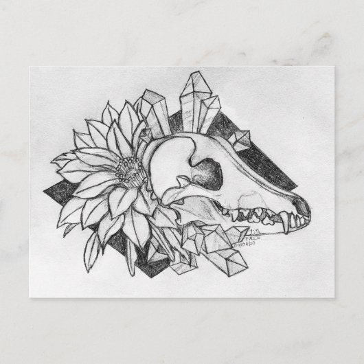 Carte Postale Crystal Coyote (Devant)