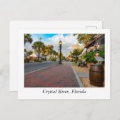 Carte Postale Crystal River Floride (Devant / Derrière)