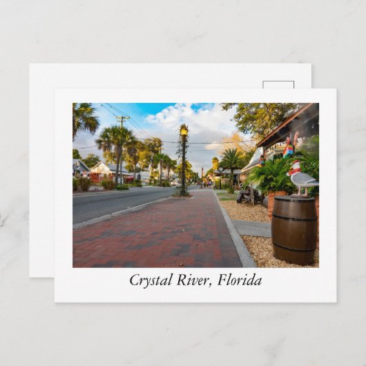 Carte Postale Crystal River Floride (Devant / Derrière)