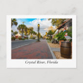 Carte Postale Crystal River Floride (Devant)