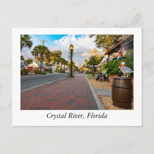 Carte Postale Crystal River Floride (Devant)