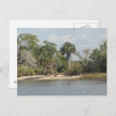 Carte Postale Crystal River la Floride (Devant / Derrière)