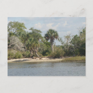 Carte Postale Crystal River la Floride