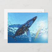 Carte Postale Crystal Whale Art (Devant / Derrière)