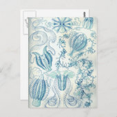 Carte Postale Ctenophore (Devant / Derrière)