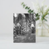 Carte Postale Cuba, Guantanamo Sentry sous palms_War Image (Debout devant)